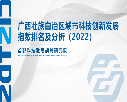 日屁网站【成果发布】广西壮族自治区城市科技创新发展指数排名及分析（2022）